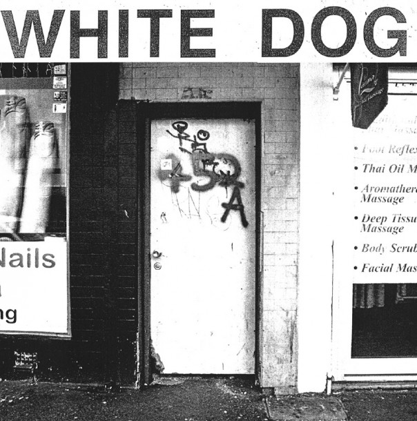 white dog